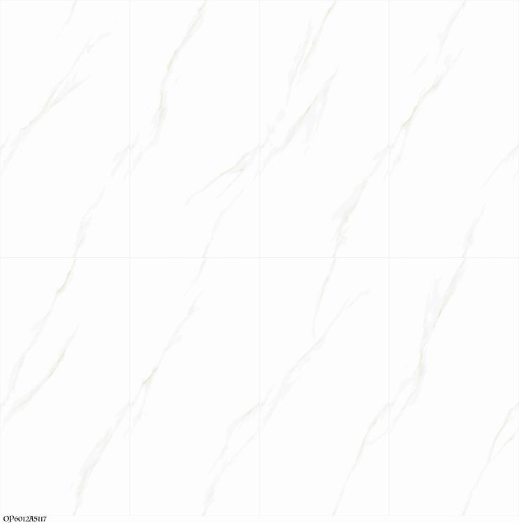 Time Cielo Matte 24 x 48